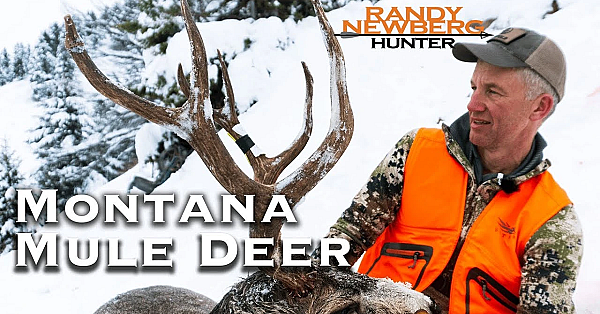 2018 Montana Mule Deer With Randy Newberg