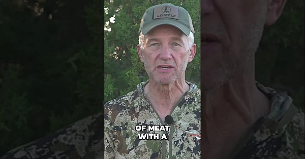 How Many Coolers For An Elk??? #freshtracks #hunting