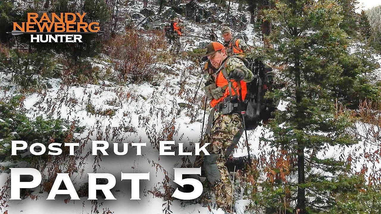 2018 Montana Post Rut Elk Hunt With Randy Newberg (part 5)