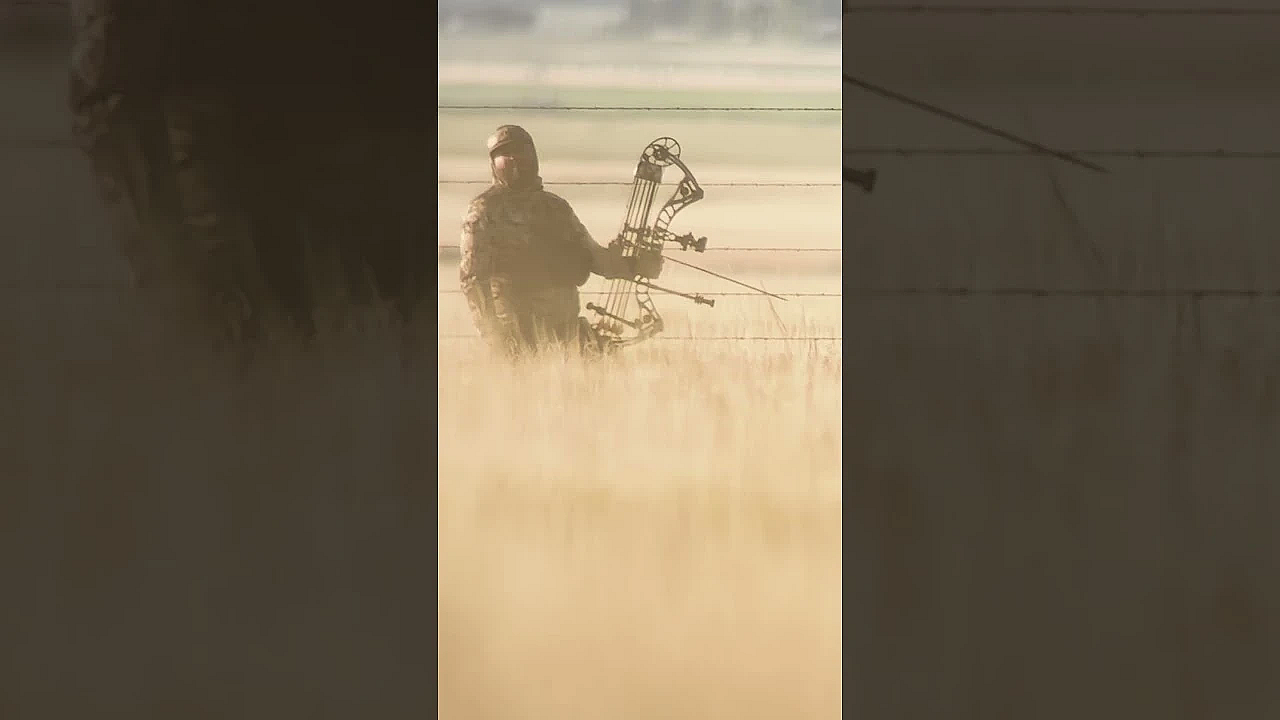 Pay Attention! Buck Runs By