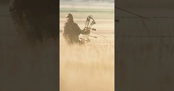 Pay Attention! Buck Runs By