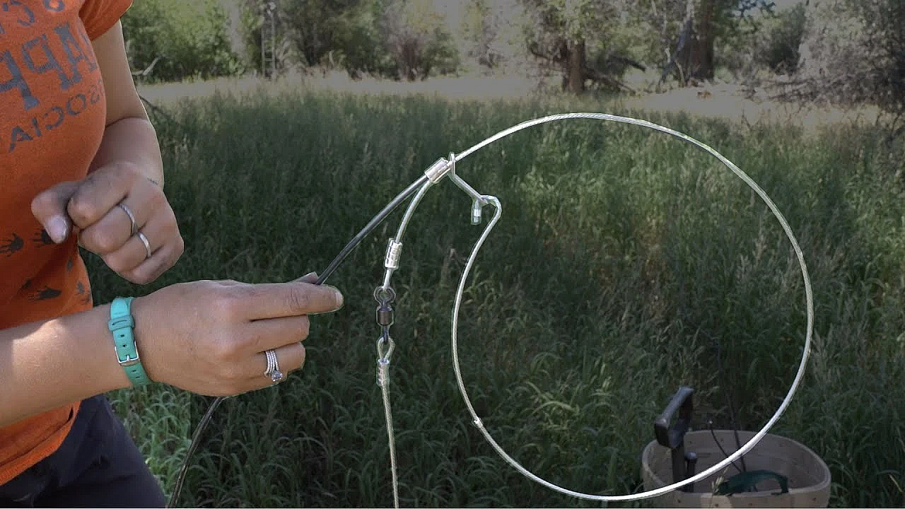 How To Use Cable Restraints For Trapping