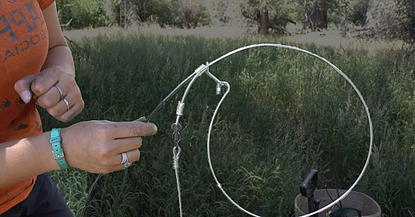 How To Use Cable Restraints For Trapping