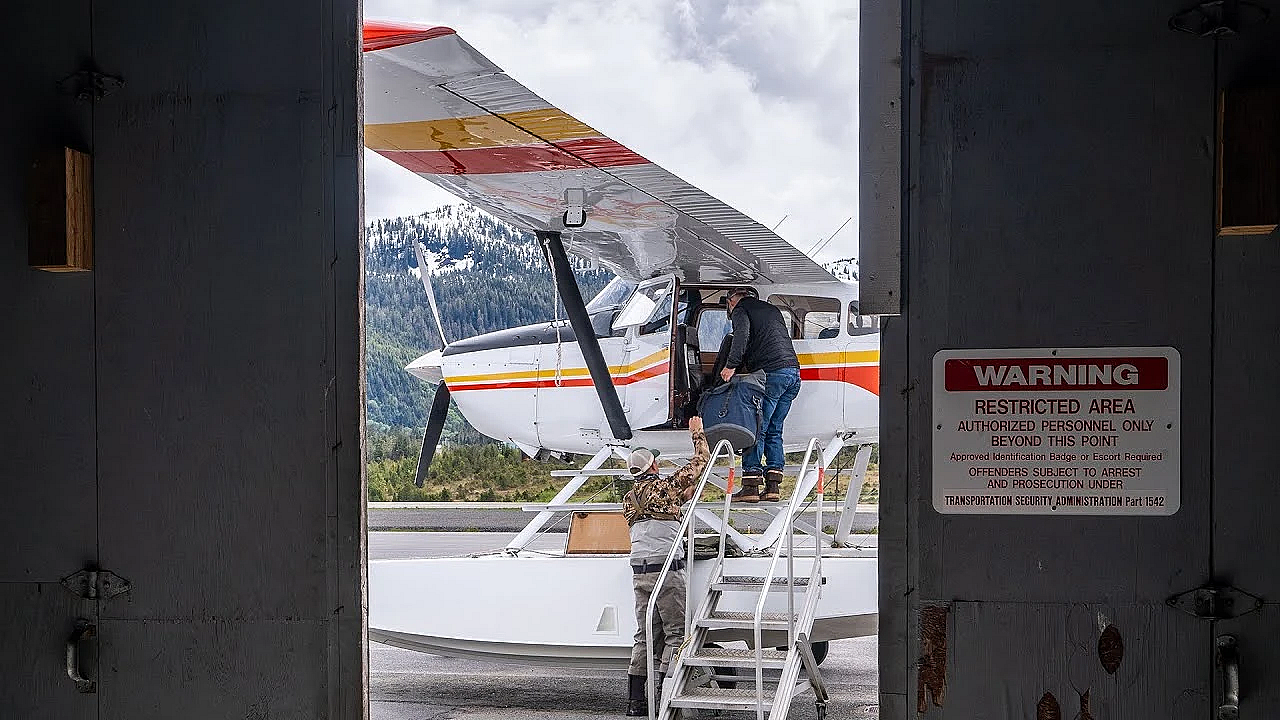 Diy Southeast Alaska Bear Hunt Logistics