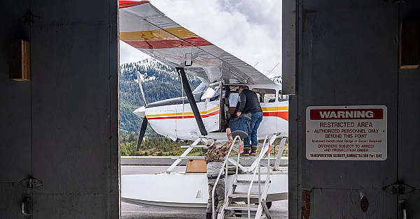 Diy Southeast Alaska Bear Hunt Logistics