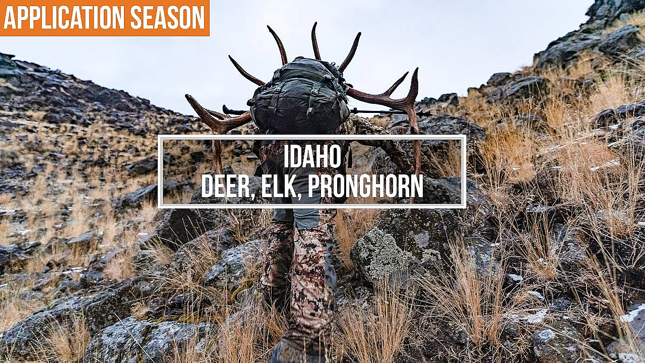 How To Apply For Deer, Elk, And Pronghorn In Idaho