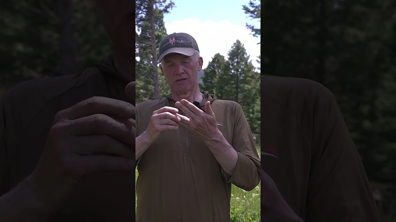 We Can Have It All: Wildlife, Timber, and Healthy Forests | Fresh Tracks Weekly Episode 134