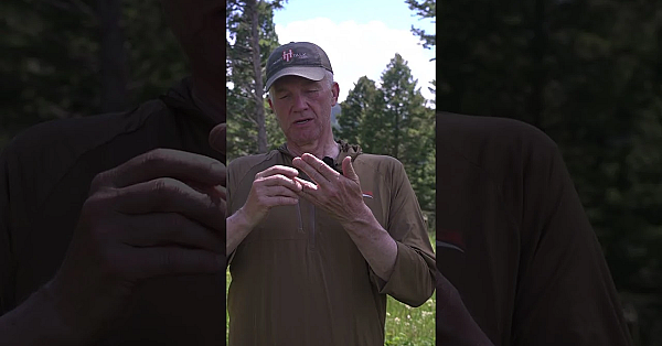 We Can Have It All: Wildlife, Timber, and Healthy Forests | Fresh Tracks Weekly Episode 134