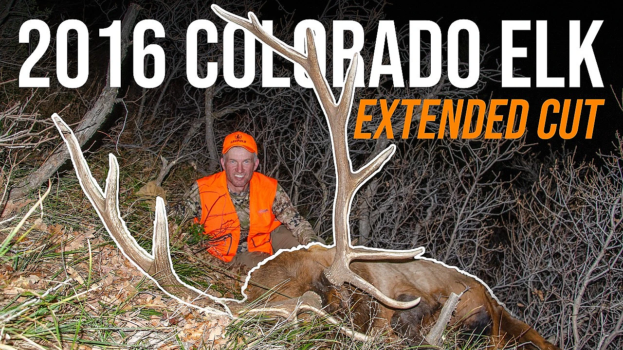 20 Years in the Making: Randy’s Colorado Public Land Elk Hunt (Extended Cut)