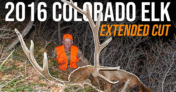 20 Years in the Making: Randy’s Colorado Public Land Elk Hunt (Extended Cut)