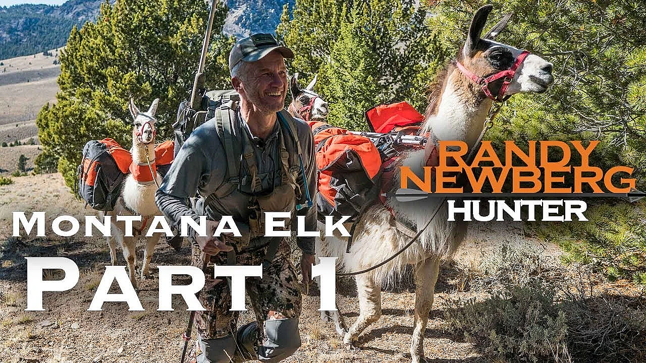 2018 Montana General Elk Hunt With Randy Newberg (part 1)