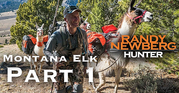 2018 Montana General Elk Hunt With Randy Newberg (part 1)