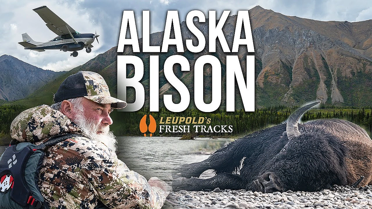 An Epic Alaskan Float Hunt For Bison #freshtracks