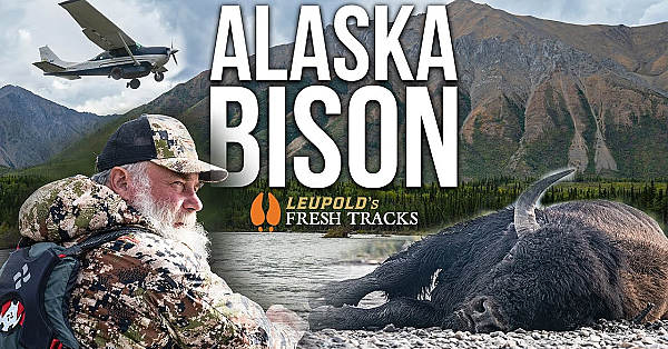An Epic Alaskan Float Hunt For Bison #freshtracks