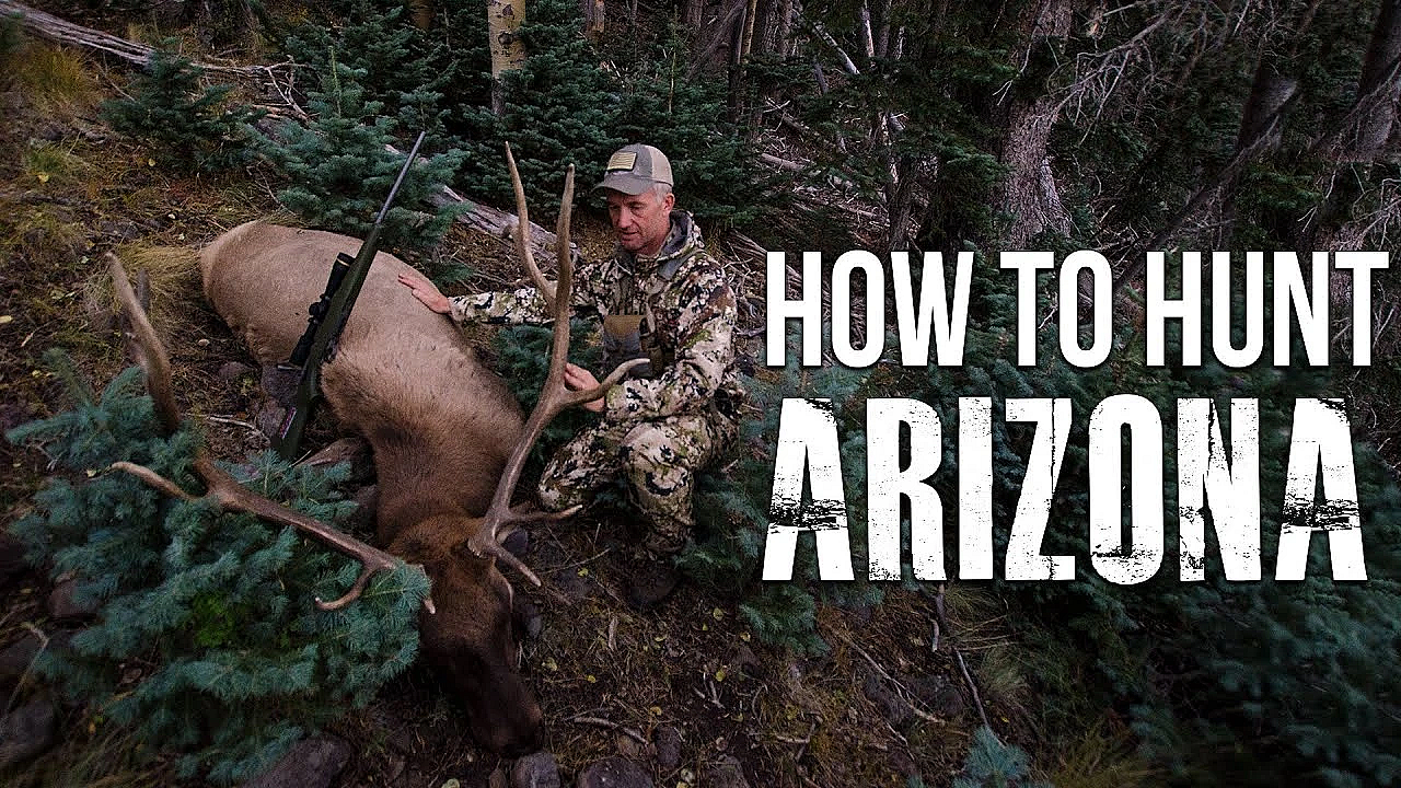 Our Application Strategy For Arizona