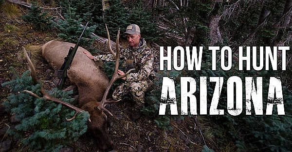 Our Application Strategy For Arizona