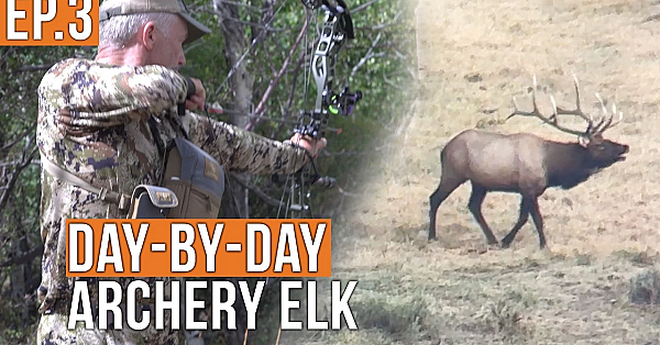 Randy Lets an Arrow Fly… | Archery Elk (EP.3)