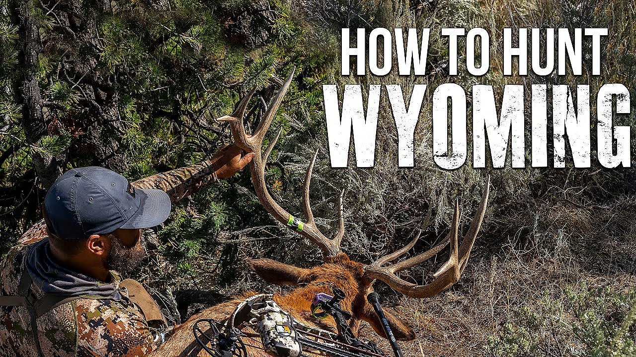 Our Application Strategy For Wyoming