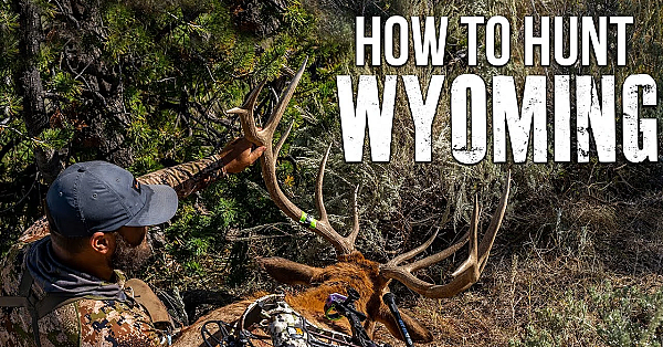 Our Application Strategy For Wyoming