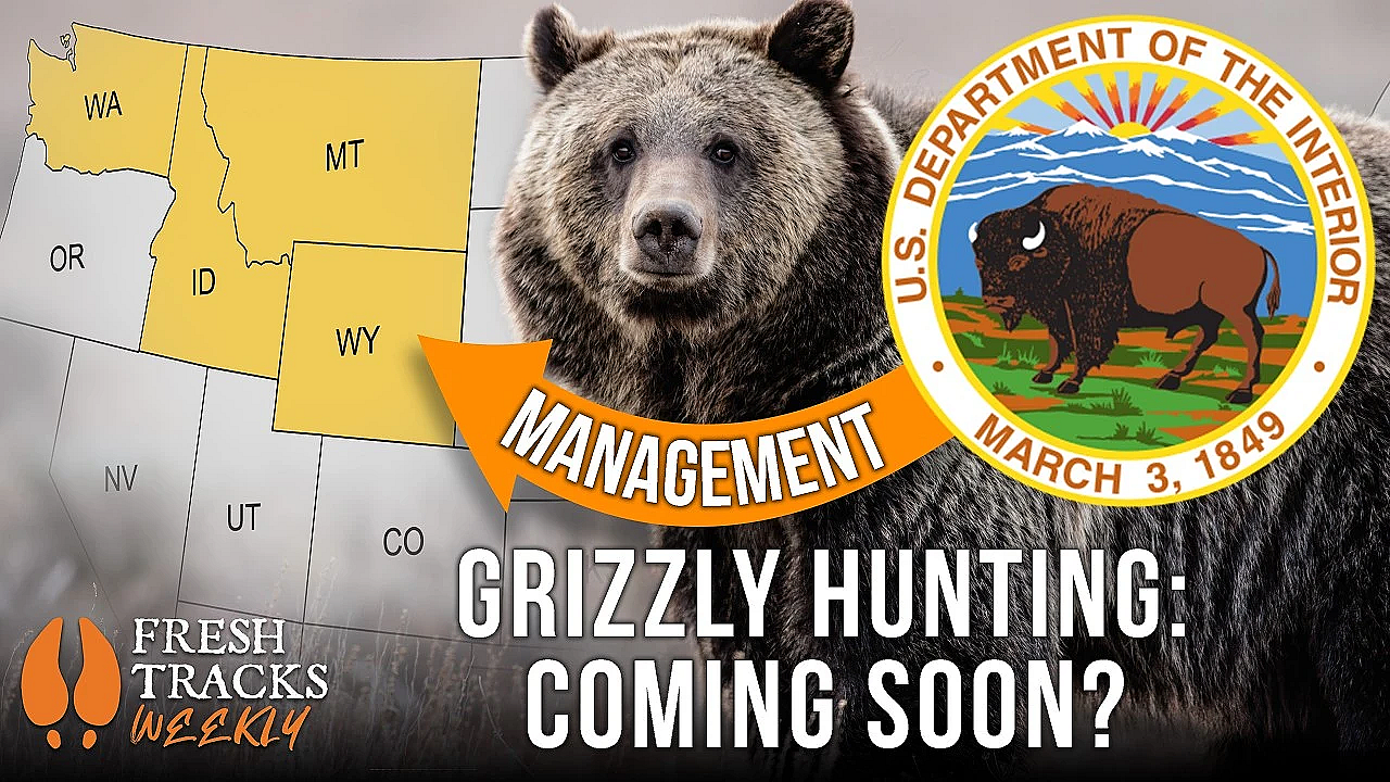 Is this the NEW Era of Grizzly Bear Management? | Fresh Tracks Weekly Ep. 136