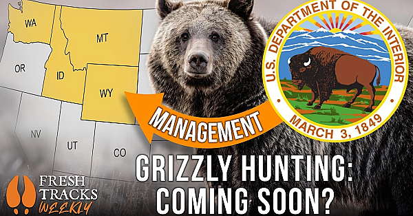 Is this the NEW Era of Grizzly Bear Management? | Fresh Tracks Weekly Ep. 136