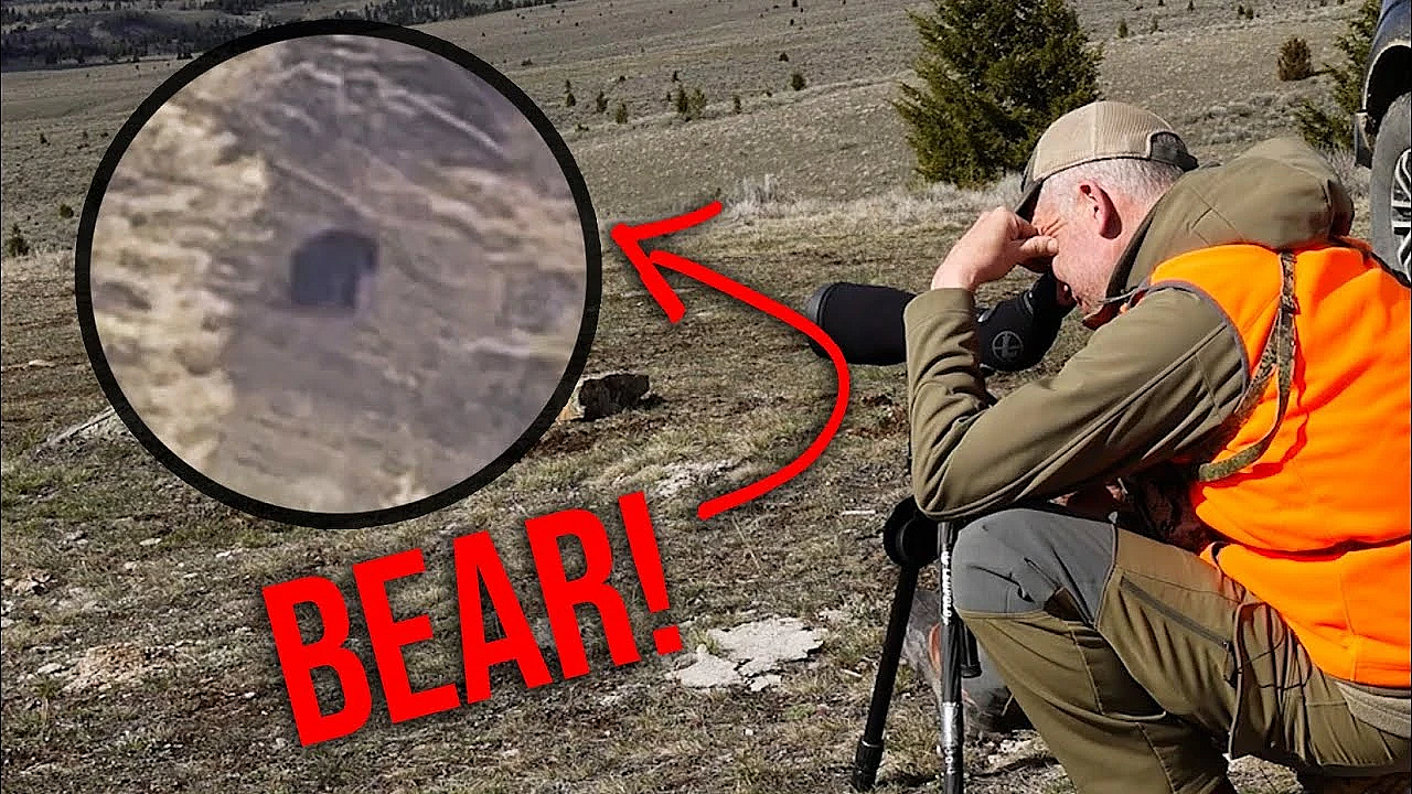 We Found One! - 2022 Montana Bear With Randy