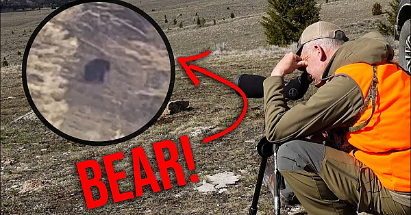 We Found One! - 2022 Montana Bear With Randy