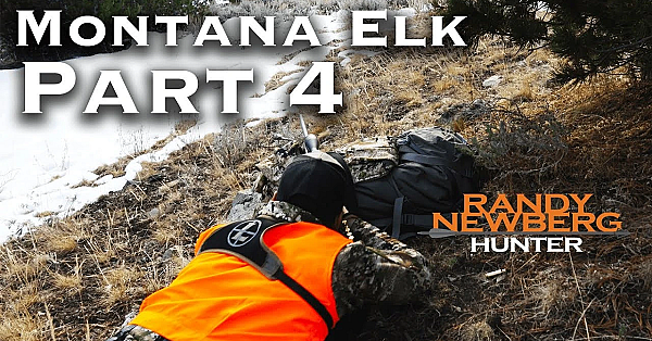 2018 Montana General Elk Hunt With Randy Newberg (part 4)
