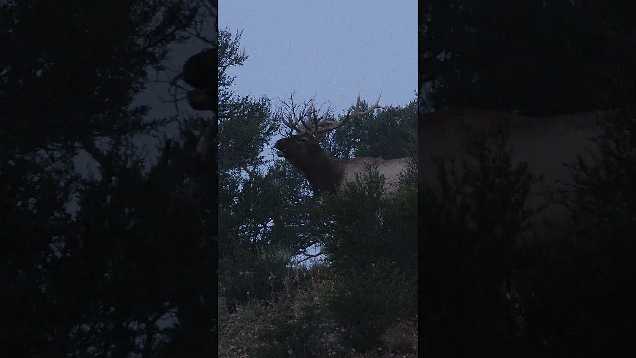 Who's Ready For This!?