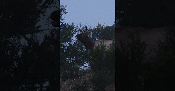 Who's Ready For This!?