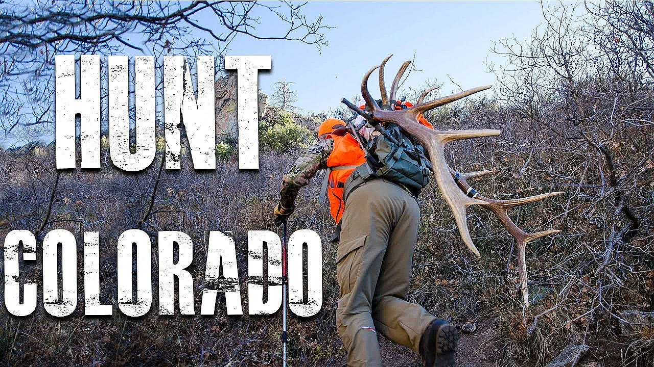 How To Hunt Colorado (for Elk, Deer And Antelope)