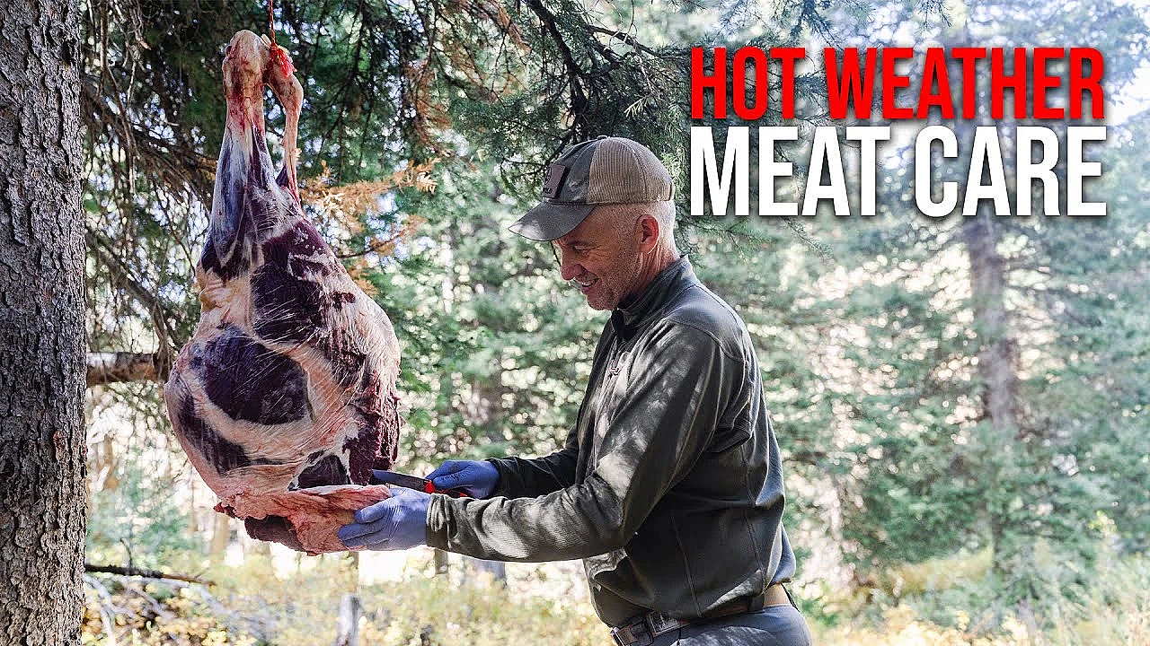 How To Take Care Of Meat In Hot Weather!