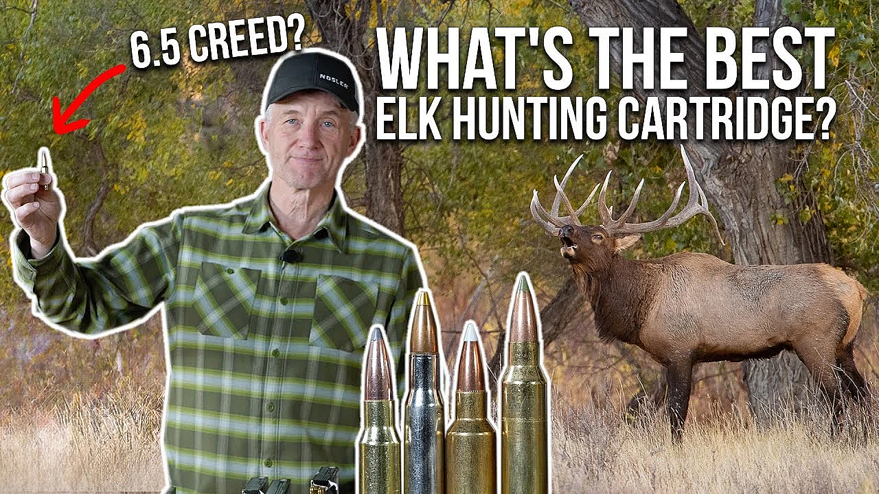 Randy Reacts To Your Elk Hunting Cartridges!