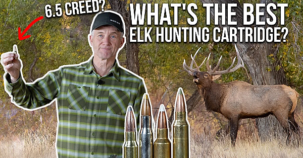 Randy Reacts To Your Elk Hunting Cartridges!