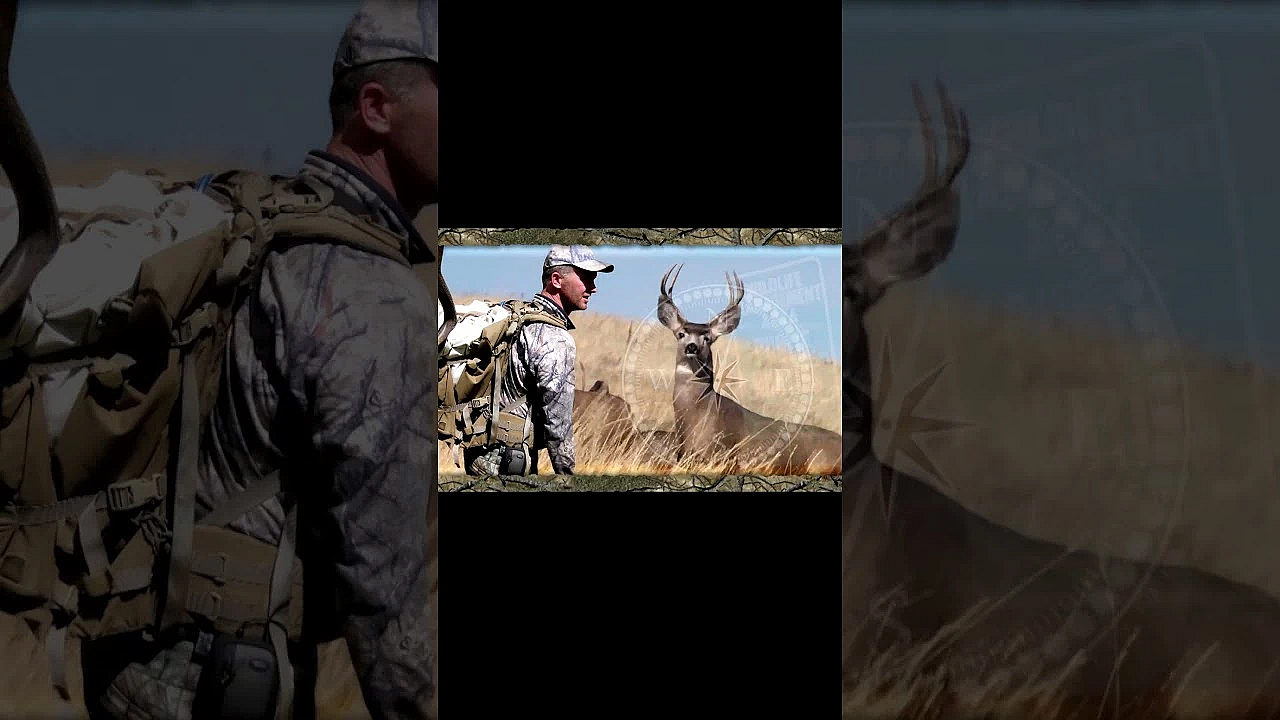 Who Remembers The Old On Your Own Adventures Intro?