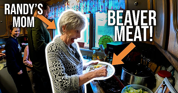 Skinning, Fleshing And Eating Beavers