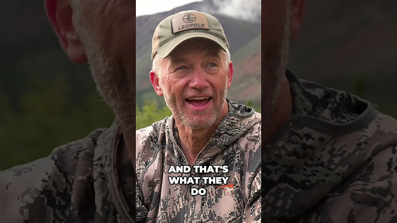 Get Fit For Mountain Hunting! #hunting #freshtracks