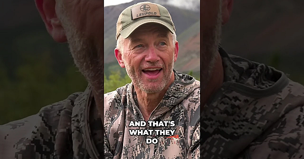 Get Fit For Mountain Hunting! #hunting #freshtracks