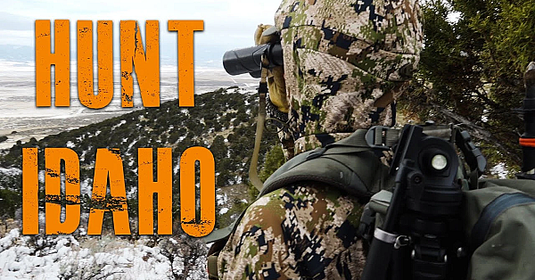 How To Hunt Idaho (for Elk, Deer, And Antelope)