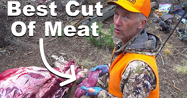 How To Remove The Tenderloin (doing The Gutless Method)
