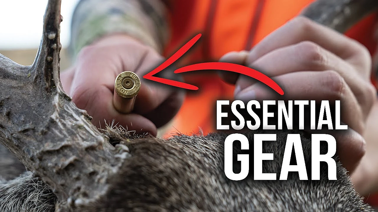 Gear For Successful Deer Hunting In Colorado!