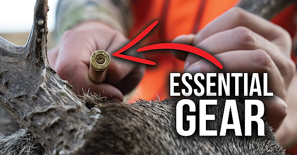 Gear For Successful Deer Hunting In Colorado!