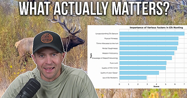 Data Doesn't Lie: The Keys to Public Land Elk Hunting Success