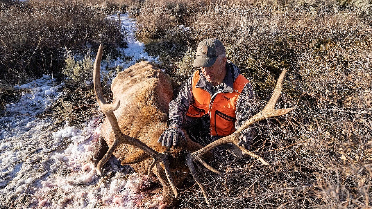 Elk Talk Live: Randy's Bow Setup // Ep 86