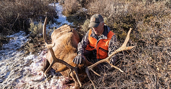 Elk Talk Live: Randy's Bow Setup // Ep 86