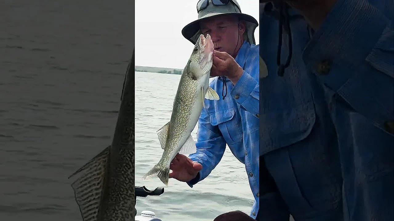 Catch more Walleye with the Historical Wind Data Feature on onX Fish