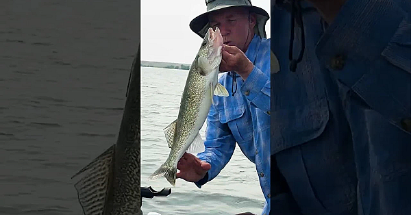 Catch more Walleye with the Historical Wind Data Feature on onX Fish