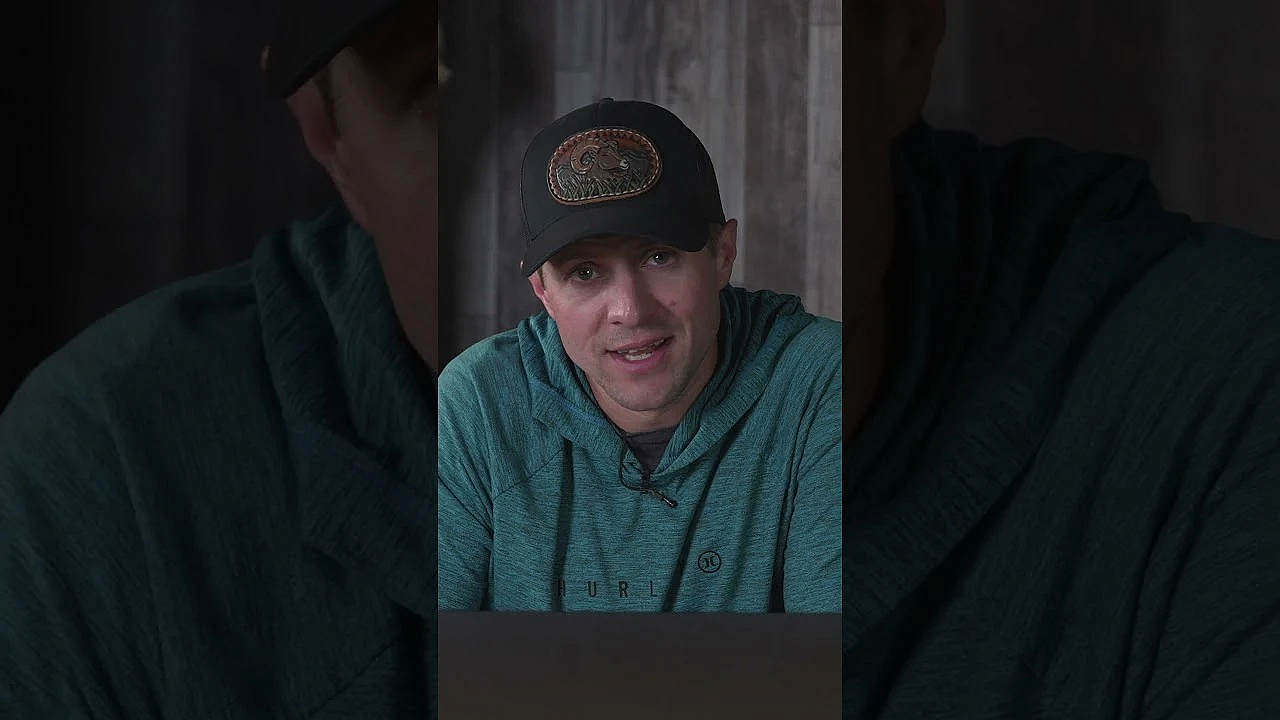 Colorado Update: Ban On Cat Hunting Will Be On The 2024 Ballot