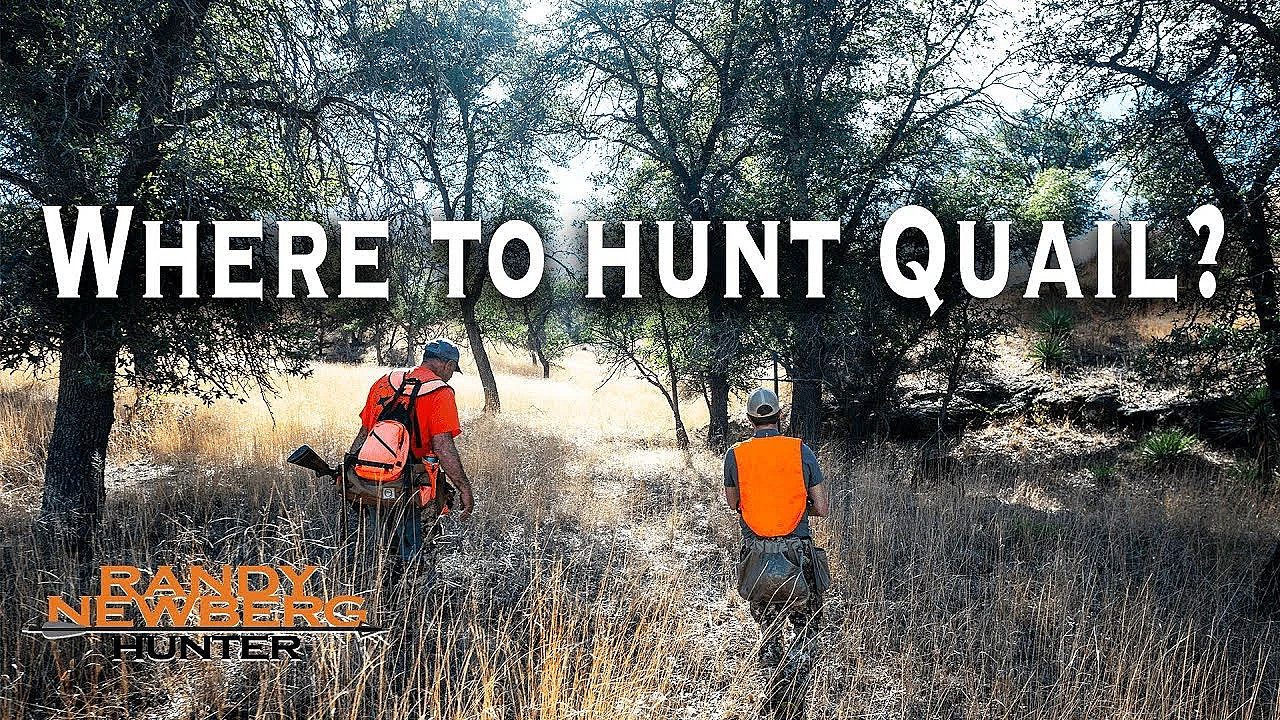 Where To Hunt Mearns Quail