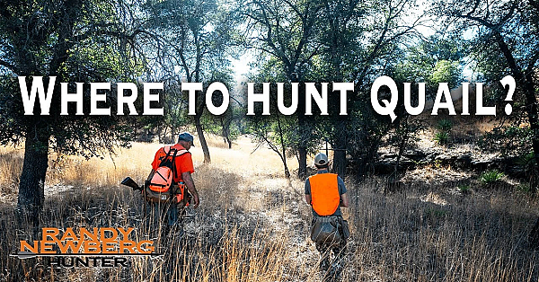 Where To Hunt Mearns Quail